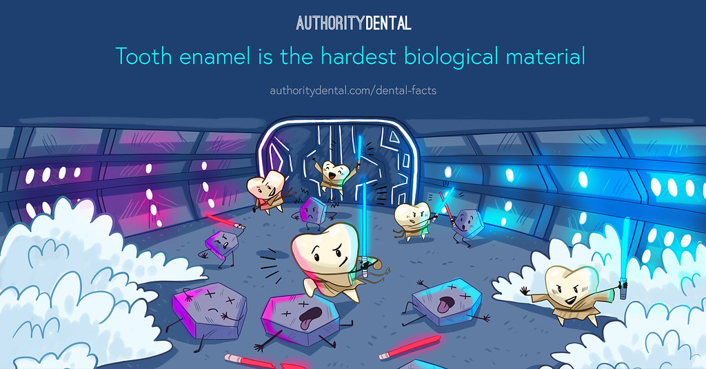 can enamel grow back, enamel is the hardest material in the body