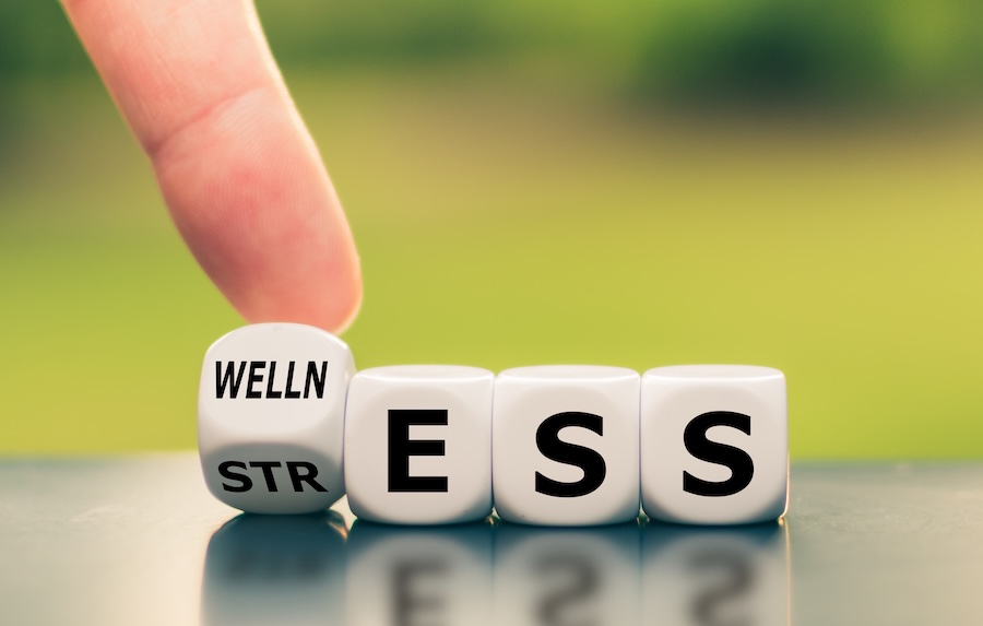 dice spelling the words wellness and stress, stress and oral health